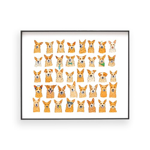 Red Heeler, Bouviers, Impression giclée d'art, « 40 Red Heelers »