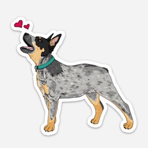 WEATHERPROOF Cattle Dogs, Blue Heeler, 3-inch Vinyl Decal Sticker "Look of Love"