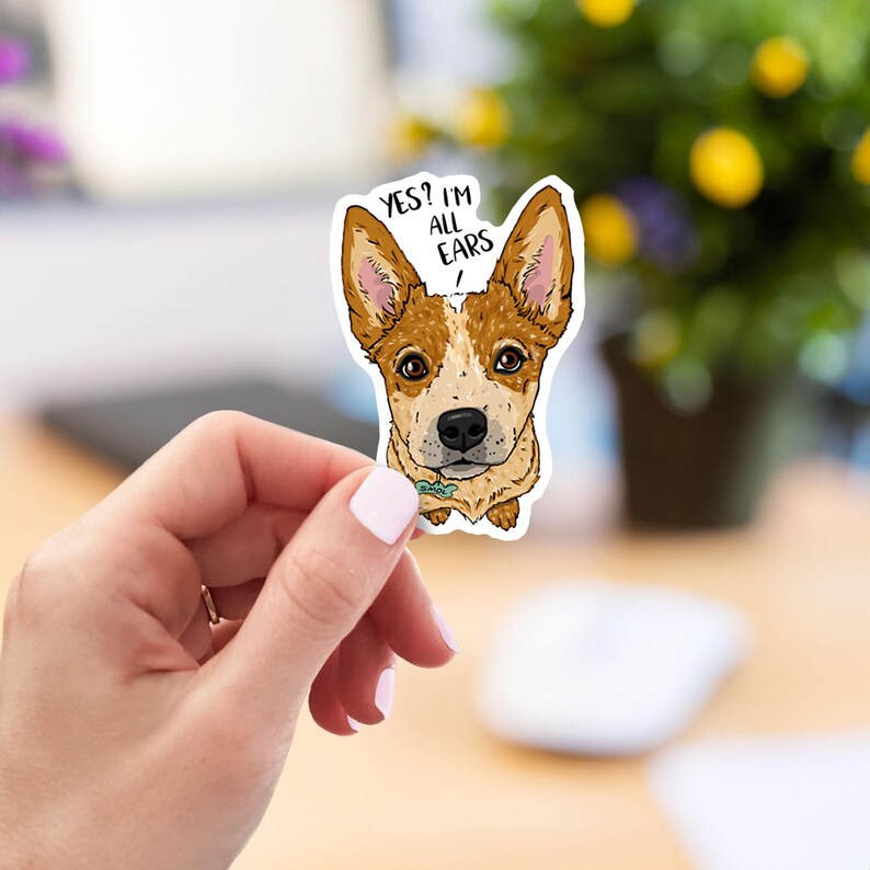 May include: A sticker featuring a cartoon Australian Cattle Dog with big ears and the text "YES? I'M ALL EARS!"