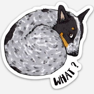 WEATHERPROOF Cattle Dogs, Blue Heeler, 3-inch Vinyl Decal Sticker "WHAT?"