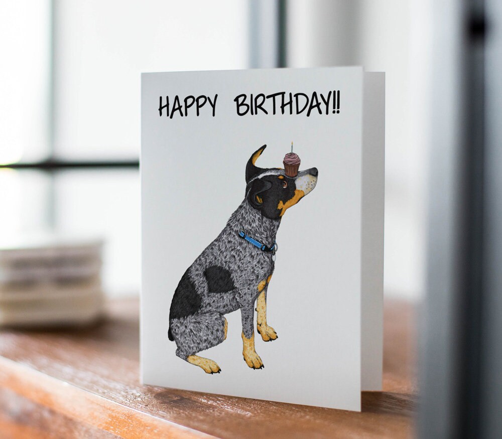 Blue Heeler Puppy Birthday Card, Cattle Dog Art - Etsy, image size:1000x875