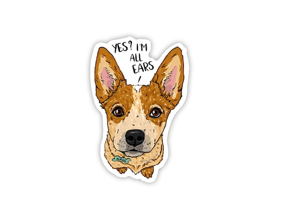 Red Heeler Dogs, Double Mask Cattle Dog, Cute Puppy Gift, Waterbottle Dog Sticker, 3-inch Vinyl Decal Sticker, I'm All Ears Sticker