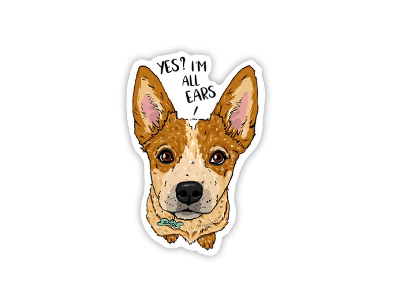 May include: A cartoon illustration of a brown and white Australian Cattle Dog with big ears looking up at the camera. The dog has a green tag that says "Smol" around its neck. The text "YES? I'M ALL EARS" is above the dog.