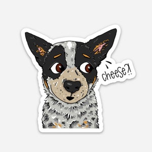 WEATHERPROOF Cattle Dogs, Blue Heeler, 3-inch Vinyl Decal Sticker "Cheese?!"