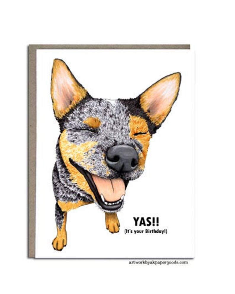 Australian Cattle Dog Birthday Card Blue Heeler Cattle Dog
