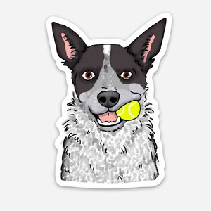 WEATHERPROOF Cattle Dogs, 3-Inch Vinyl Decal Sticker "Play Ball"