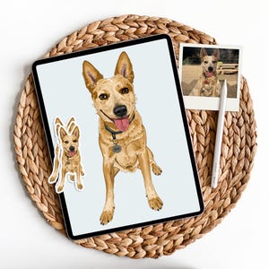 May include: A digital illustration of a brown and white Australian Cattle Dog sitting on a light blue background. The dog has a black collar with a silver tag that says "Remi". There is a sticker of the same dog on the left side of the image.
