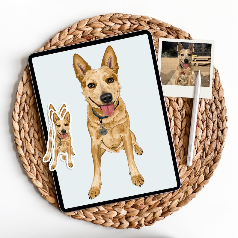 May include: A digital illustration of a brown and white Australian Cattle Dog sitting on a light blue background. The dog has a black collar with a silver tag that says "Remi". There is a sticker of the same dog on the left side of the image.
