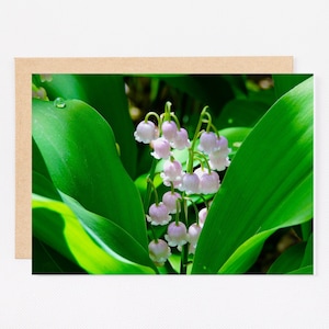 Carte de vœux imprimable lily of the Valley, 5x7, Fleur, Floral, Printemps, Vert, Nature, Carte vierge