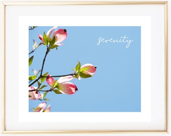 Serenity, Dogwood Tree, Spring, Printable, Instant Download, Print, Nature, 8x10, Gallery Wall, Decoration, Decor