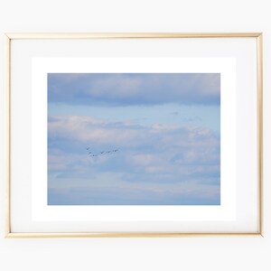 Flying Geese in the Distance, Printable, Photography, Sky, Clouds, Birds, Calming, Peaceful, Landscape, Instant Download, Print, 8x10