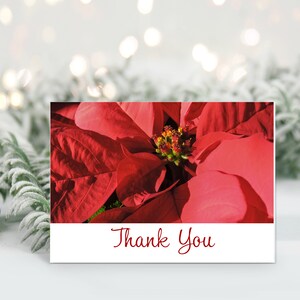 Printable Poinsettia Thank You Card, Printable Thank You Card, Thank You Card, Poinsettia, Winter, Flower, 5x7