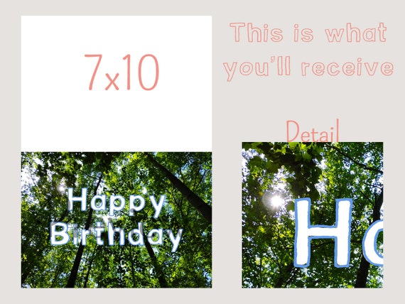 Joyeux Anniversaire Carte Imprimable Foret Arbres Nature Etsy