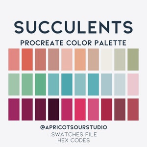 May include: A Procreate colour palette featuring 18 different shades of pink, red, green, blue, and brown. The palette is titled "Succulents" and is by @apricotsourstudio.