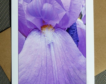 Greeting Card "Purple Iris 01" digitally enhanced nature photography - spring flowers