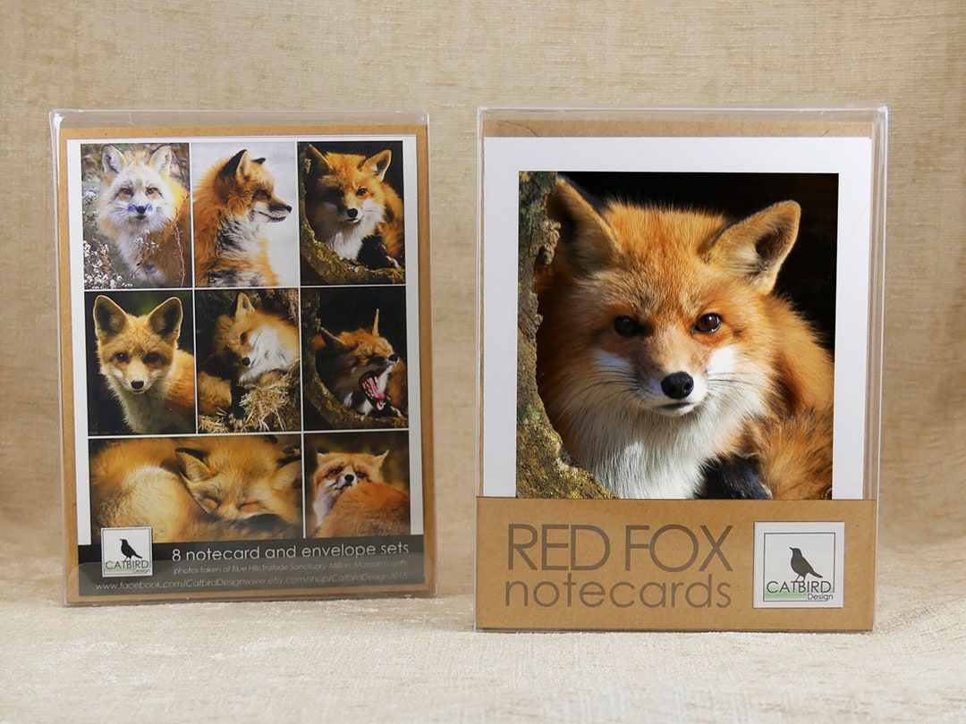 Notelets With Fox Pattern 8 Notecard Red Fox Collection - Etsy