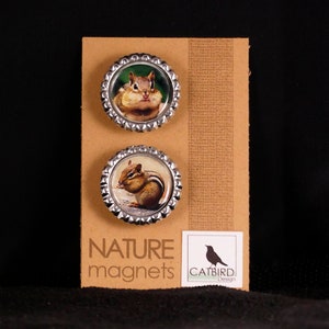 Chipmunk 2 magnet set