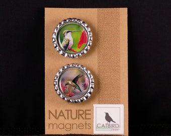 Hummingbird 2 magnet set