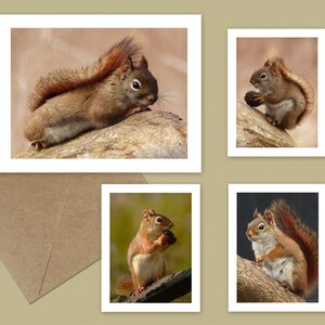 Red Squirrel notecards  - choose 1, 2, 3, or all 4 – animal lovers