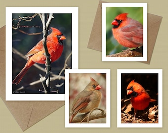 Cardinal note cards  - choose 1, 2, 3, or all 4