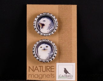 Snowy Owl 2 magnet set