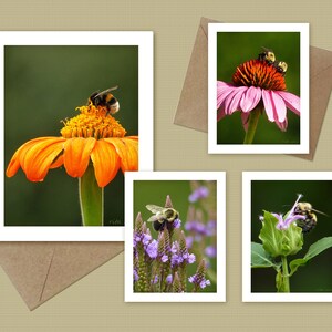 May include: Four greeting cards with white borders and white mats featuring close-up photographs of bumblebees pollinating various flowers. The first card shows a bumblebee on an orange flower with a green background. The second card shows two bumblebees on a pink flower with a green background. The third card shows a bumblebee on a purple flower with a green background. The fourth card shows a bumblebee on a green flower with a green background.