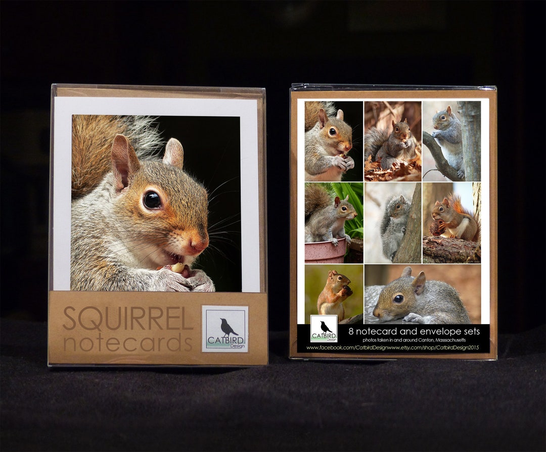 8 Notecard Squirrel Collection - Etsy