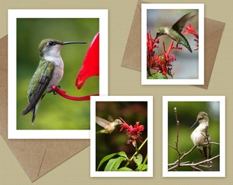 Hummingbird note cards  - choose 1, 2, 3, or all 4