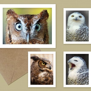 Owl note cards  - choose 1, 2, 3, or all 4