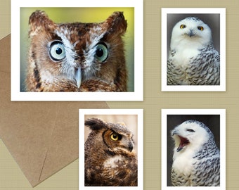 Owl note cards  - choose 1, 2, 3, or all 4