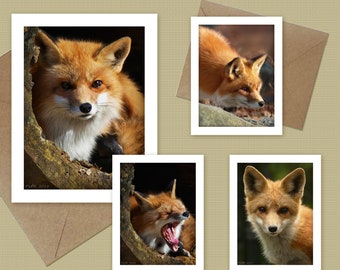 Red Fox note cards  - choose 1, 2, 3, or all 4