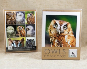 8 Notecard Owl Collection