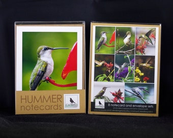8 Notecard Hummer Collection