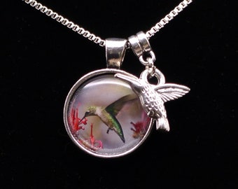 Hummingbird 3/4" Mini Photo Pendant  - 18" necklace - perfect gift