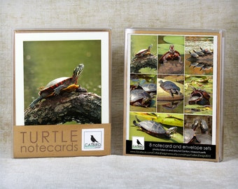 8 Notecard Turtle Collection