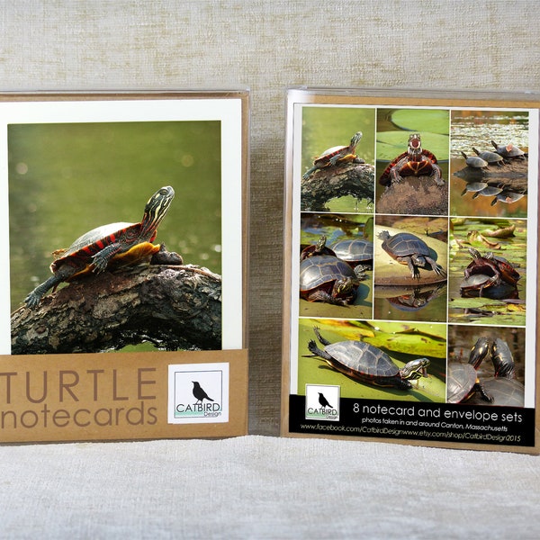 8 Notecard Turtle Collection