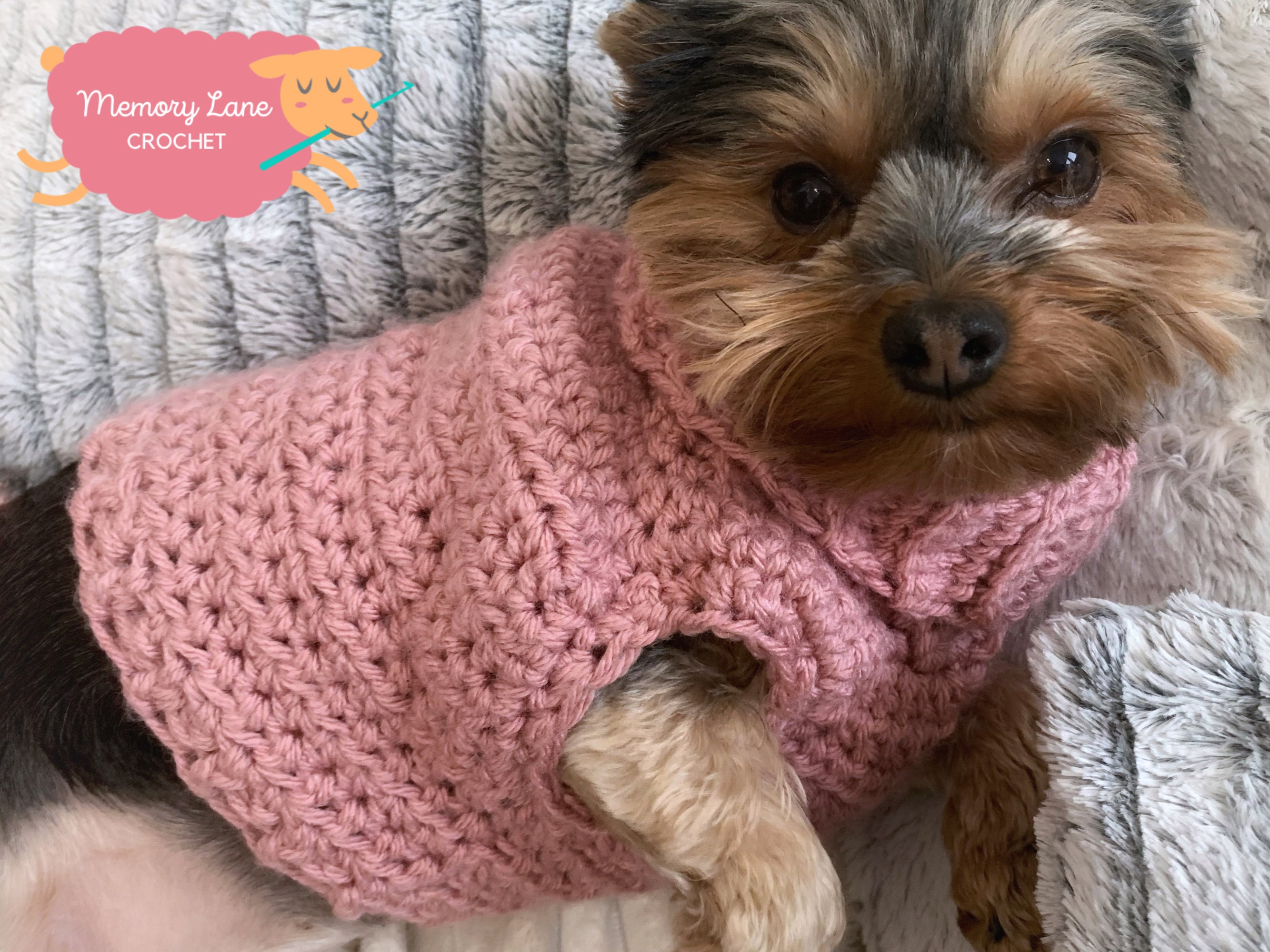 PDF Crochet Pattern Minnies Turtleneck Dog Sweater Small - Etsy