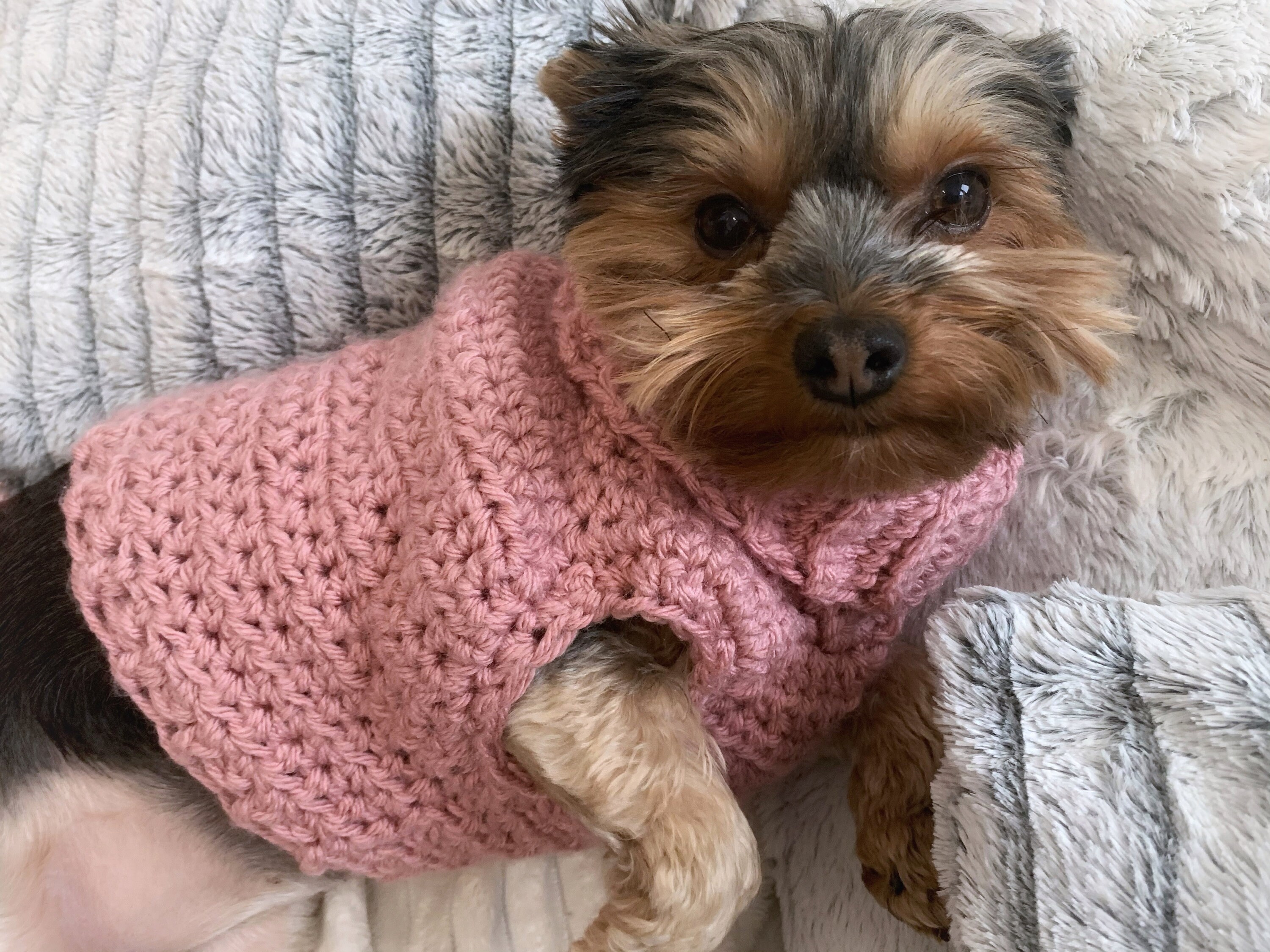 PDF Crochet Pattern Minnies Turtleneck 