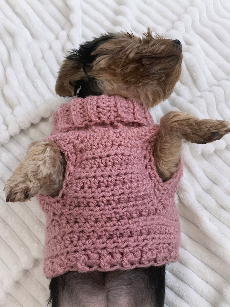 PDF Crochet Pattern Minnies Turtleneck Dog Sweater Small Etsy