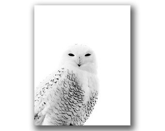 Snowy Owl - Part of a Black & White owl photo series from Grey Ghost Nature Photography