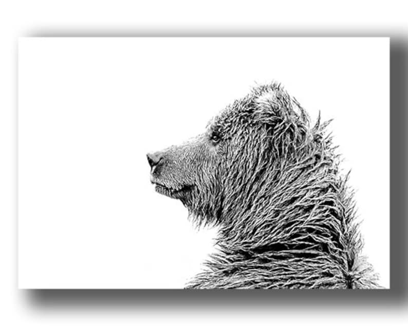 Portrait of a Grizzly Black /& White Grizzly Bear photo by award-winning wildlife photographers of Grey Ghost Nature Photography