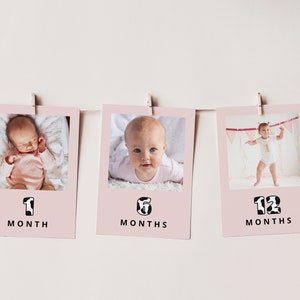 Holy Cow Photo Banner, Cow Birthday Month to Month Banner, Holy Cow Decorations, Farm Birthday Decor, Editable Template, Instant Download