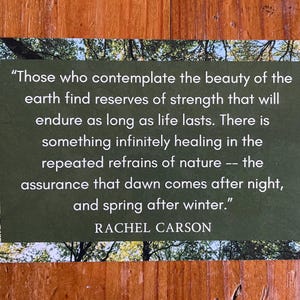 May include: A rectangular card with a green background and a quote by Rachel Carson. The quote reads: "Those who contemplate the beauty of the earth find reserves of strength..." The card is set against a wooden background.