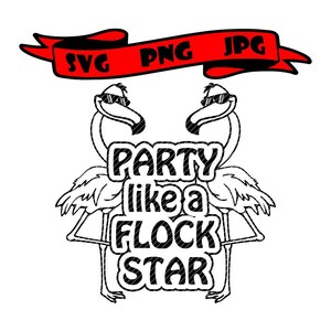 May include: Black and white illustration of two flamingos wearing sunglasses with the text "Party like a flock star" in a black and white striped font.
