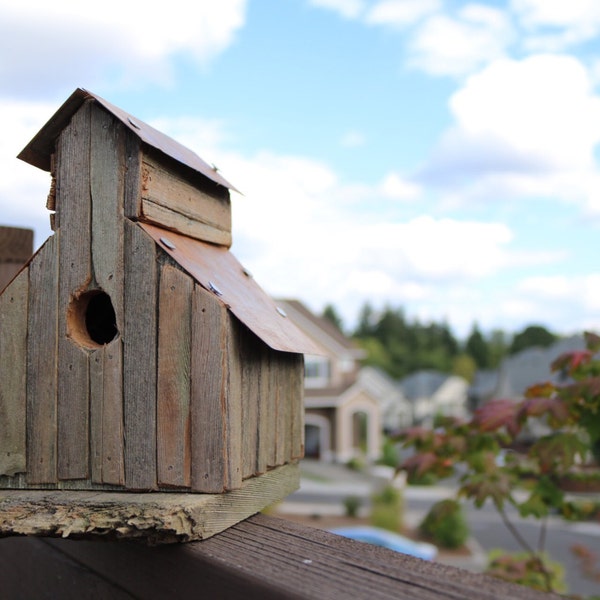 Rustic Birdhouse #2