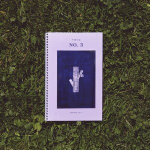 Zweig Ausgabe Nr. 3 - Feat. 23 Midwest Schriftsteller | Poesie Zine, Kunst Kollektiv, Zweig Magazine, Midwest Veröffentlichung