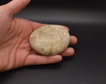 Set of 5 OHIO Shaped Rocks State Rocks Ohio State - Etsy