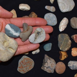 Alaska River Rocks River Rocks Bulk 3 Pounds Stones for Wedding