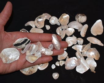 collection of SMALL smooth freshwater shells, less than 2 inches shell pieces, 5 oz, opalescent craft shells