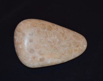 Set of 5 OHIO Shaped Rocks State Rocks Ohio State - Etsy